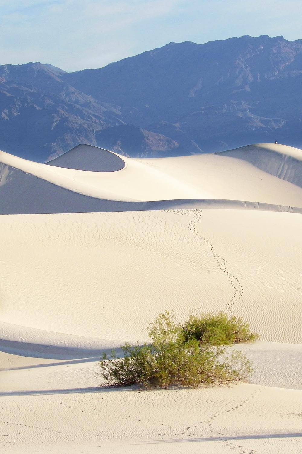 Best Hikes In Death Valley National Park, California