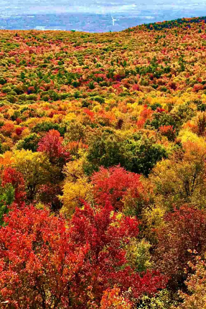 Minnewaska State Park fall NY