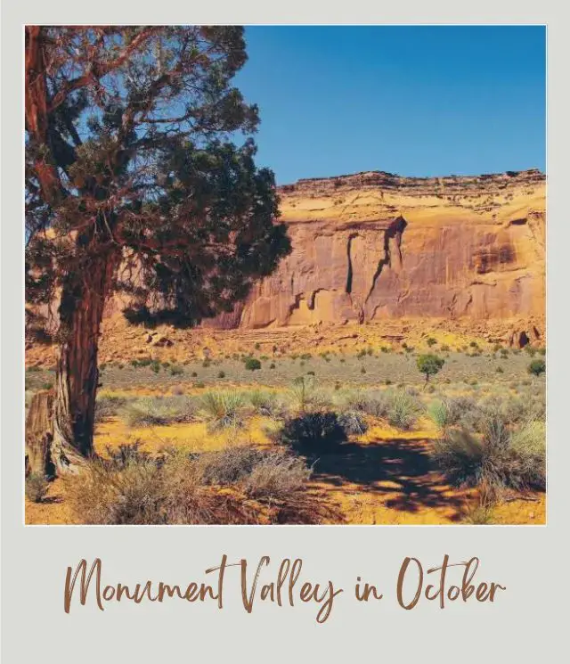 Visiting Monument Valley: What To Expect Throughout the Year View of a tree and behind is a huge rock mountain in Monument Valley.