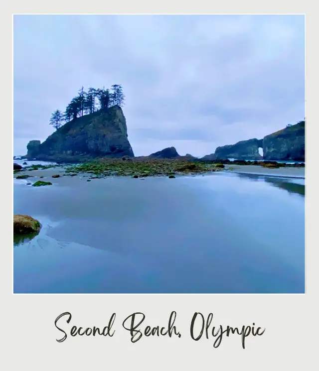 La Push Second Beach, Washington State: Complete Guide A side view of the iconic rock formation at the beach of Olympic National Park.