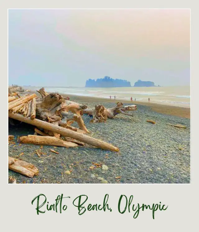 Rialto Beach - Hole in the Wall, Olympic National Park: Complete Guide Driftwood on the beach and beside is the ocean with people, and on the other side is a small island in Rialto Beach, Olympic National Park.