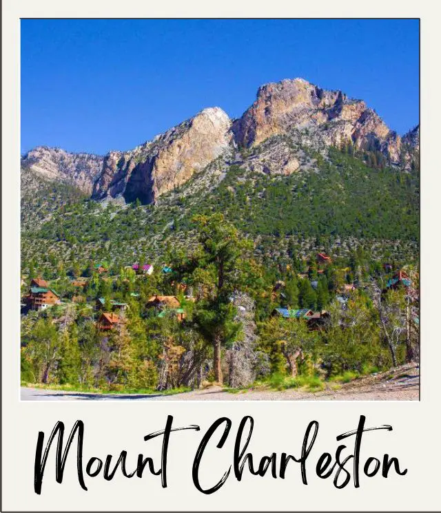The 10 Best Day Trips from Las Vegas For Nature Lovers rocky hill with forest at bottom at Mount Charleston