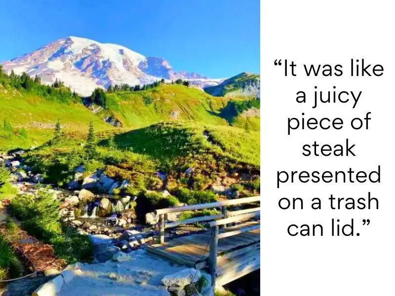 Mount Rainier National Park bad reviews - It was like a juicy piece of steak presented on a trash can lid