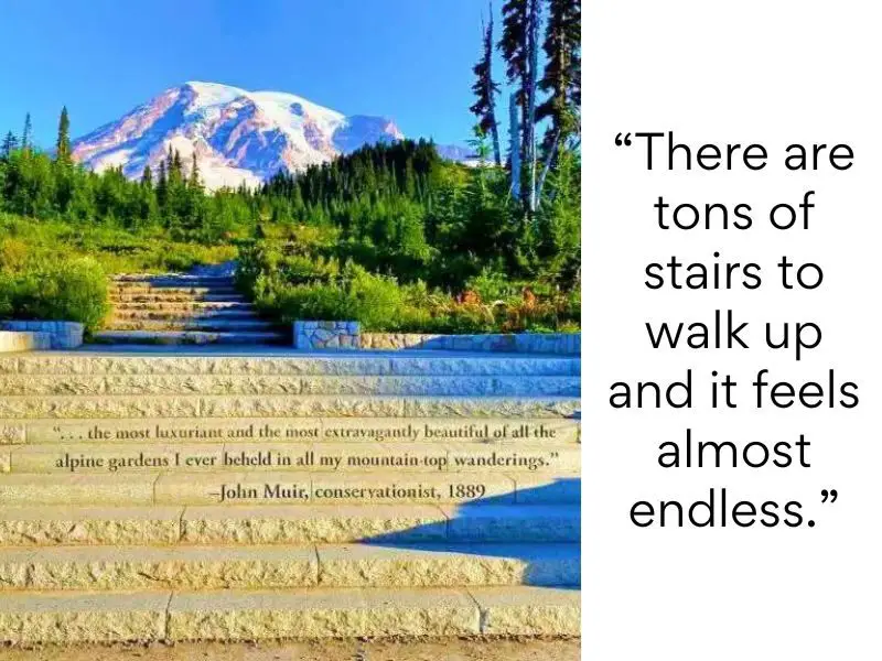 Mount Rainier National Park bad reviews - There are tons of stairs to walk up and it feels almost endless