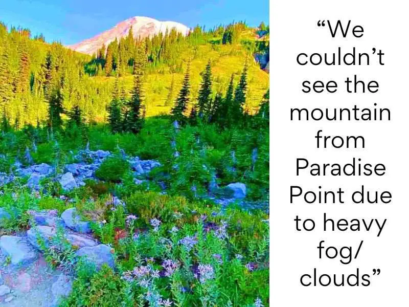 Mount Rainier National Park bad reviews - We couldn’t see the mountain from Paradise Point due to heavy fog