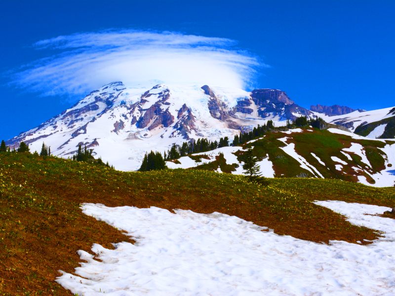 Snow-capped mountains and below are trees and mountains with melting ice in Mount Rainier National Park