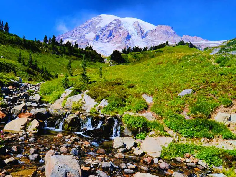 Flowing river surrounded by rocks, grass below a snow-capped mountain in Mount Rainier National Park