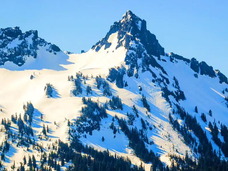 Mountains covered with snow and trees in Mount Rainier National Park