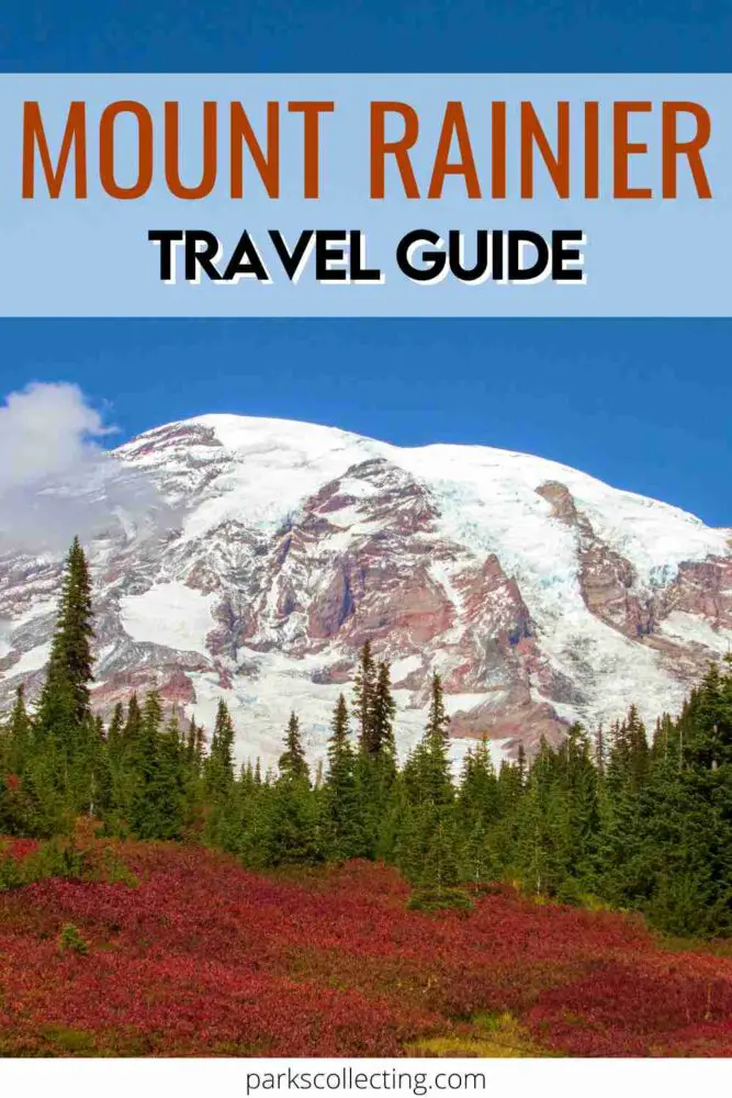 snow capped mountain with red bushes in foreground in Mount Rainier National Park with text "Mount Rainier Travel Guide"