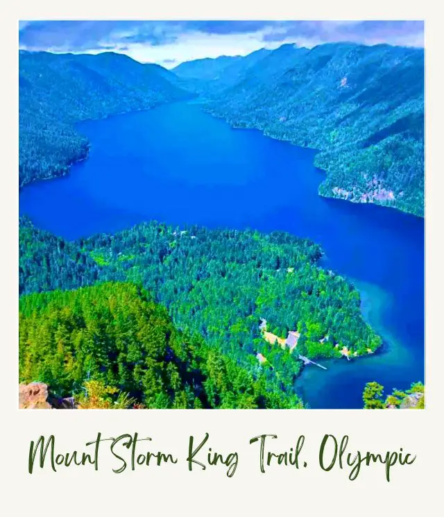 Aerial view of the blue lake surrounded by mountains and trees in Lake Crescent Olympic National Park