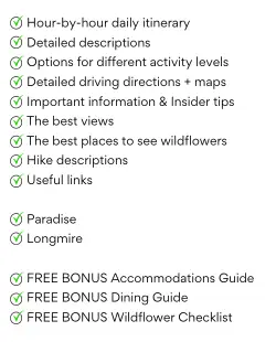 list of things included in Mt Rainier 1 day itinerary