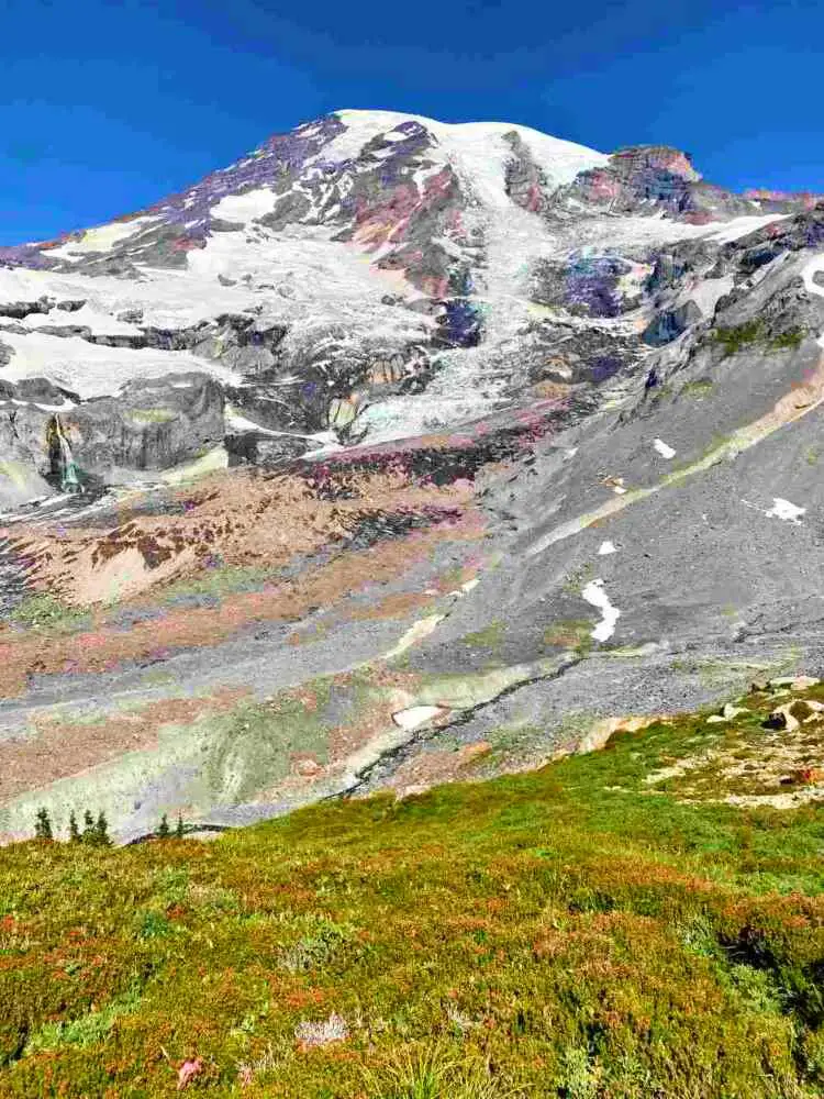 Snow-capped mountain and below are green grasses in Skyline Trail Mt Rainier National.