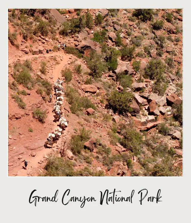 Aerial view of people riding on horses surrounded by mountains and rivers in Phantom Ranch Grand Canyon National Park.