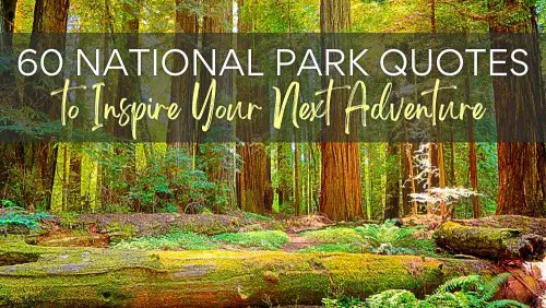 National Park Quotes header 