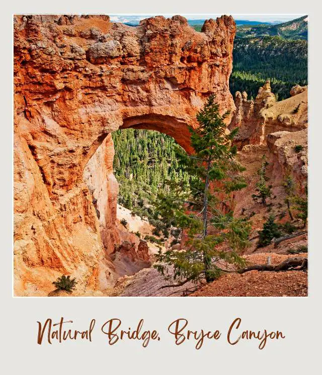 Rock-forming bridge and behind are mountains of trees in Natural Bridge Bryce Canyon.