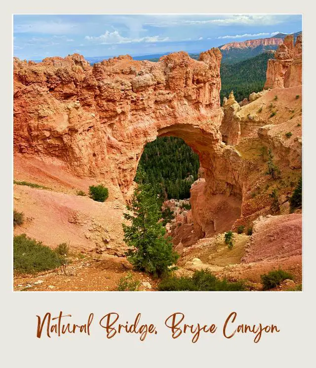 Rock-forming bridge and behind are mountains of trees in Natural Bridge Bryce Canyon.