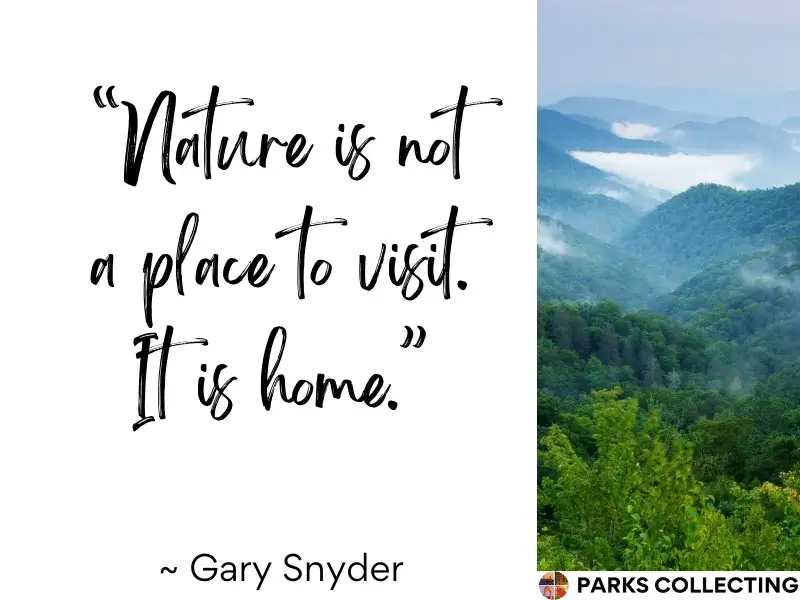 Nature is not a place to visit. It is home