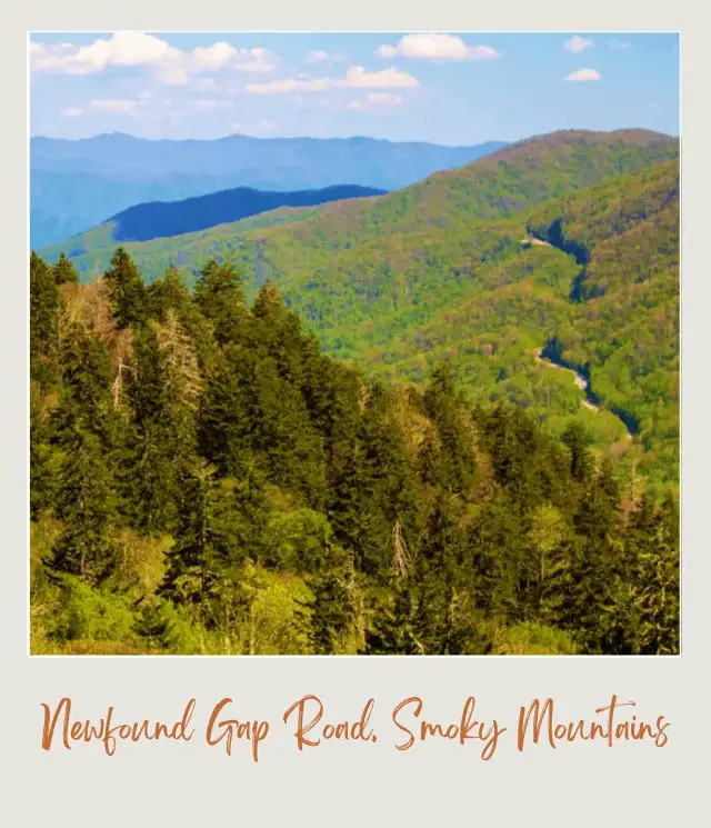 The Most Scenic Drives in America (National Parks Edition) Newfound Gap Road in Great Smoky Mountains National Park