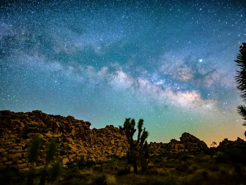 Joshua trees and rocks in Joshua Tree National Park during night time.