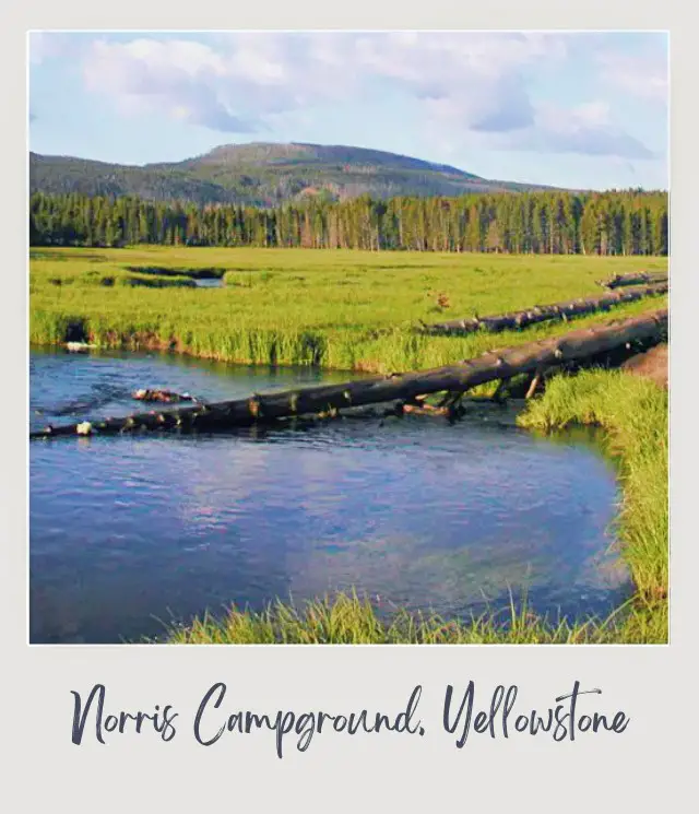 The Best Camping in Yellowstone National Park: Complete Guide Norris Campground in Yellowstone National Park
