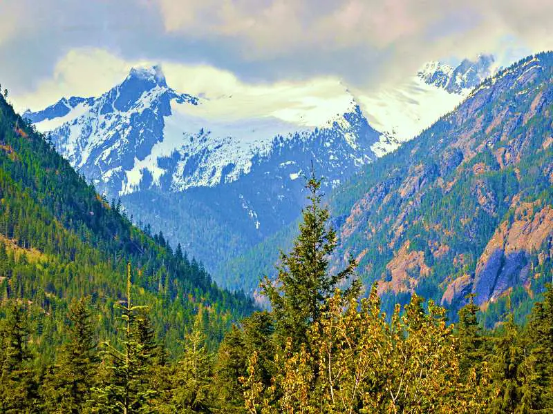 View of snow-capped mountains, trees and other plants in North Cascade National Park