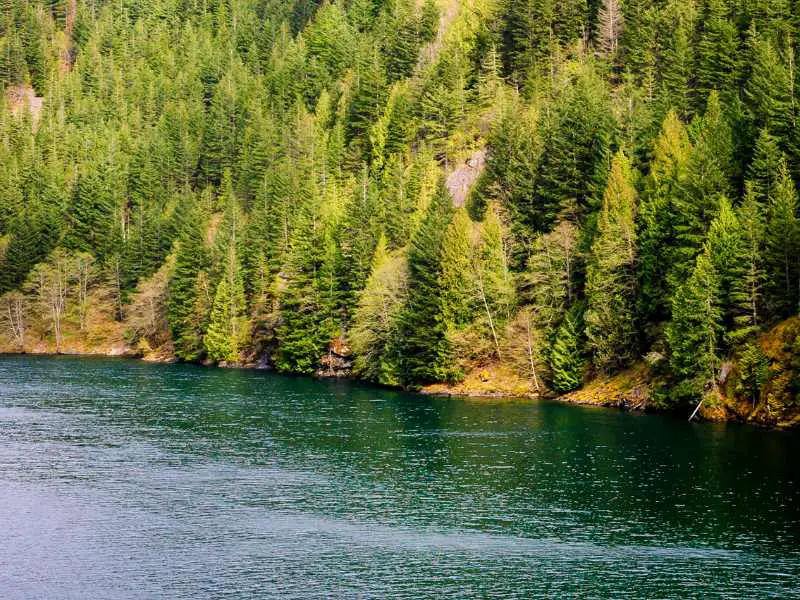 North Cascades National Park Lake and Trees