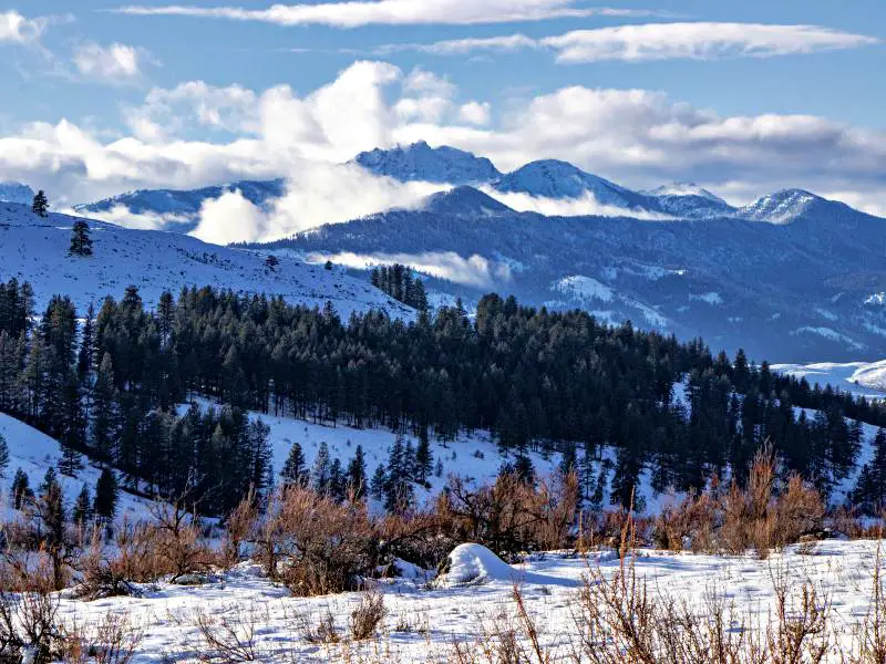 View of snow-capped mountains and trees in North Cascades National Park.