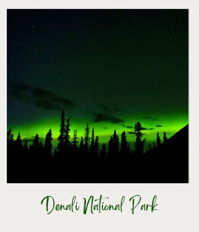 Northern Lights at Denali National Park