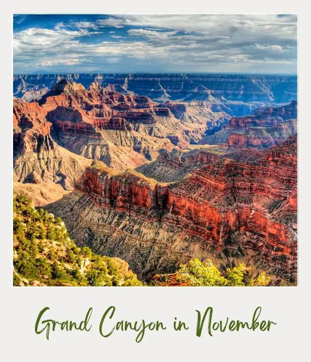 Red rock mountains in Grand Canyon National Park surrounded by tree bushes.