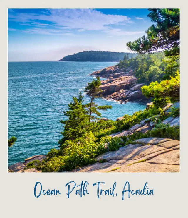 Blue ocean beside the rocky mountains and trees in Ocean Path Acadia National Park.