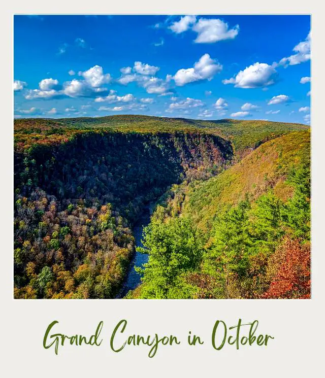 Trees with colorful leaves surround the river under the blue sky in Grand Canyon National Park.