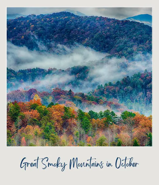 Aerial view of colorful trees covered with fog in Great Smoky Mountains National Park.