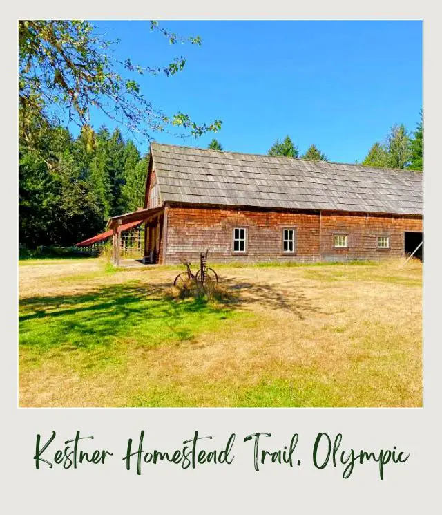 Maple Glade Rainforest Trail and Kestner Homestead Trail: Complete Guide Huge old Buildings and behind are trees in Kestner Homestead - Maple Glade Olympic National Park.