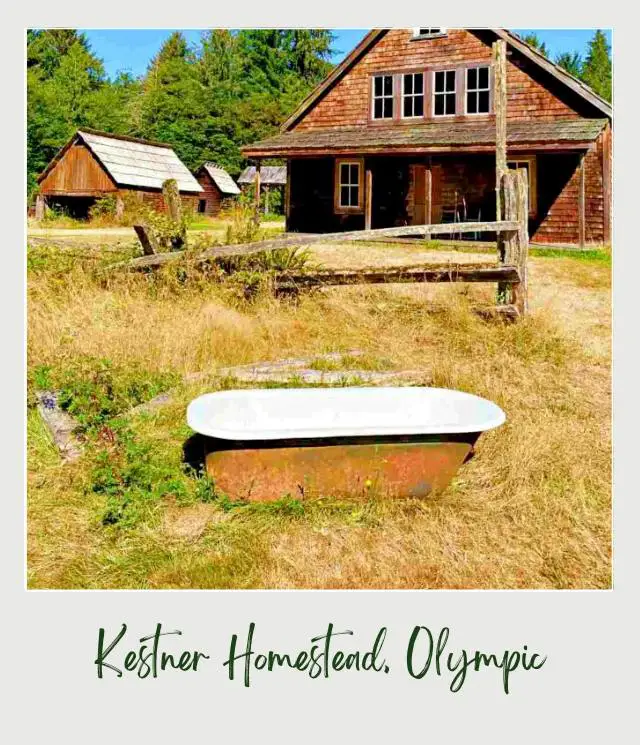 Maple Glade Rainforest Trail and Kestner Homestead Trail: Complete Guide Old Tub and buildings in Kestner Homestead Trail in Olympic National Park