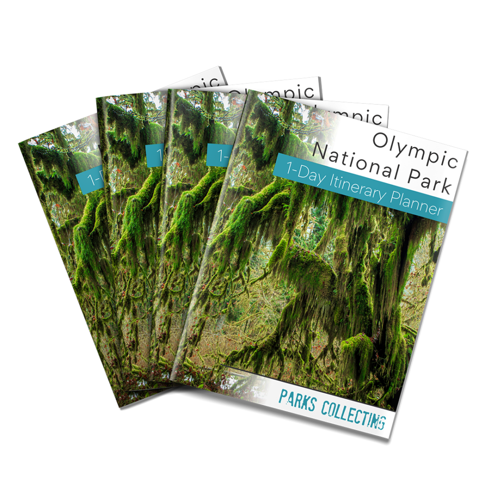 Olympic National Park Itinerary