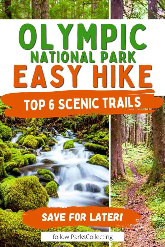 6 Best Easy Hikes in Olympic National Park Olympic National Park Easy Hikes Top 6 Scenic Trails