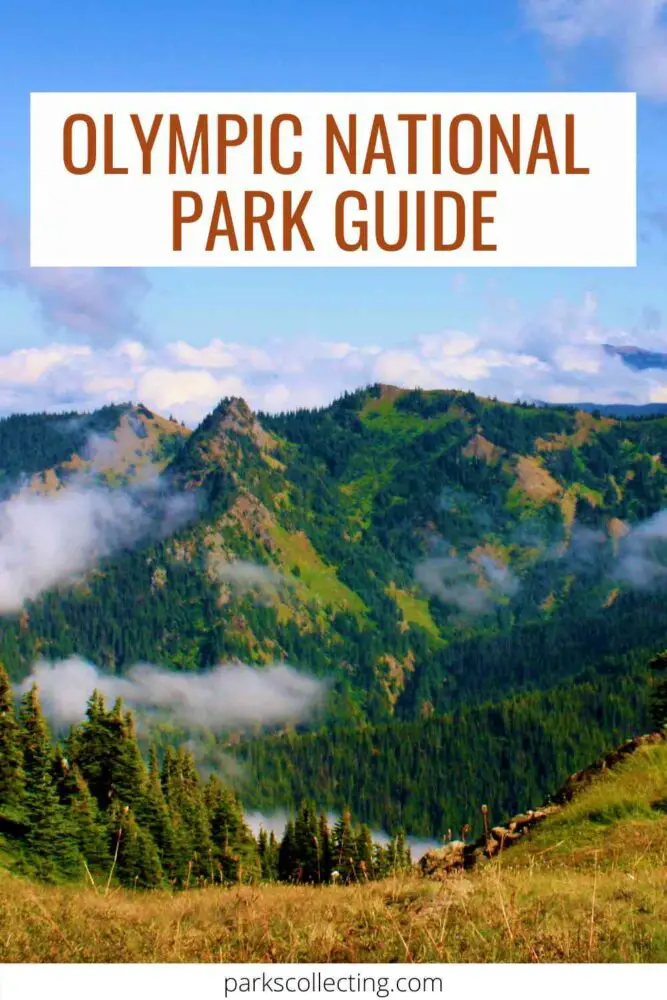 Olympic National Park Guide