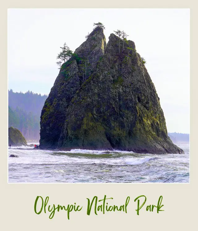 Olympic National Park Huge Stack