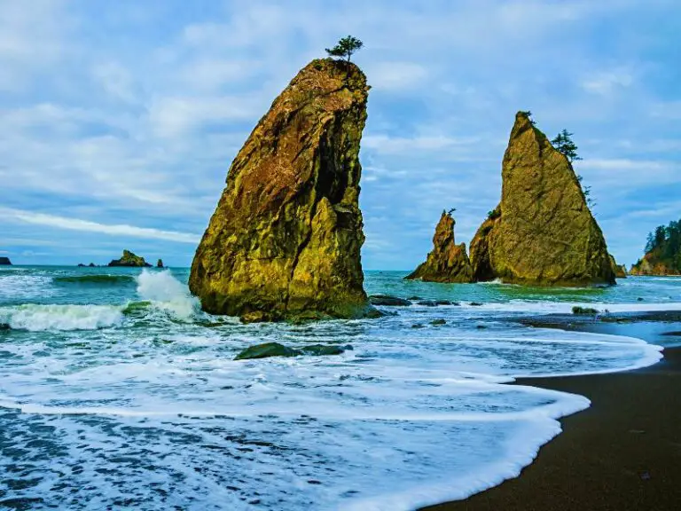 When Is The Best Time To Visit Olympic National Park? 2024