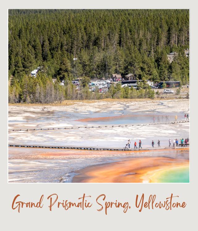 Overlook Grand Prismatic Spring Yellowstone