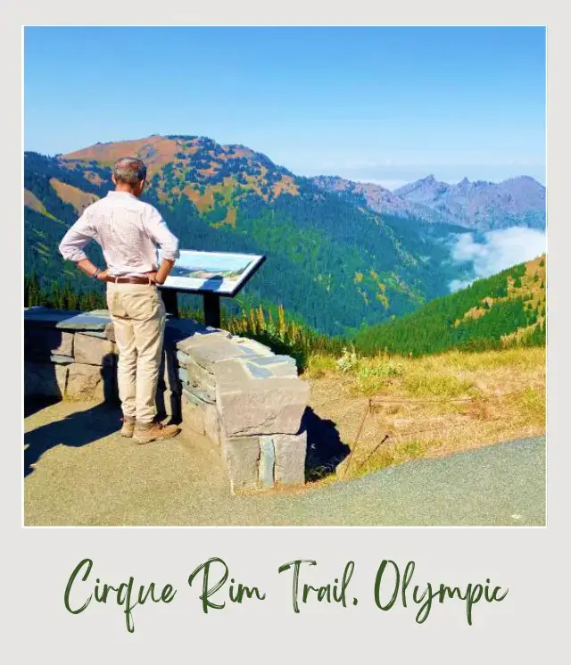 Cirque Rim Trail Guide A man is standing in front of a signage, and also in front of him are mountains of trees in Cirque Rim Trail Hurricane Ridge Olympic National Park.