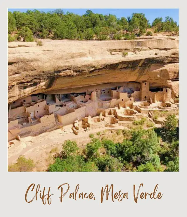 Overlook of Cliff Palace in Mesa Verde National Park