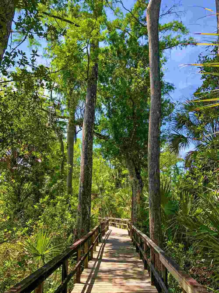 Pa-Hay-Okee Trail, Everglades National Park