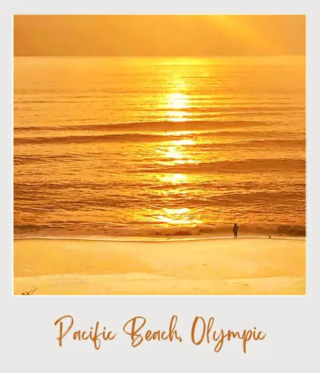 The 10 Best Olympic National Park Beaches View of sun over Pacific Beach Olympic National Park