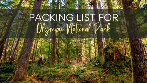 View of trees and plants, with the text, Packing List for Olympic National Park.