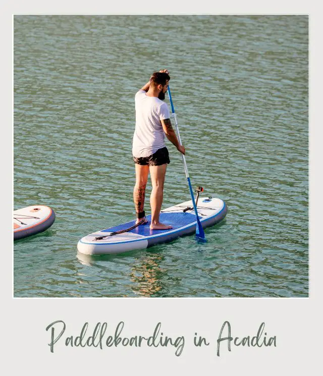 Man standing on a paddle board in the middle of the water in Acadia National Park