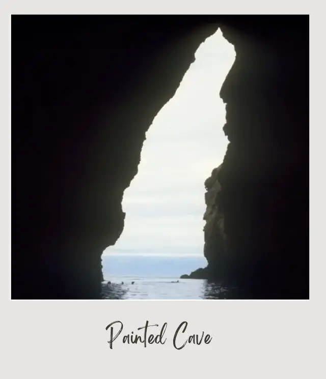 a cave with a view of the ocean Painted Cave Channel Islands National Park