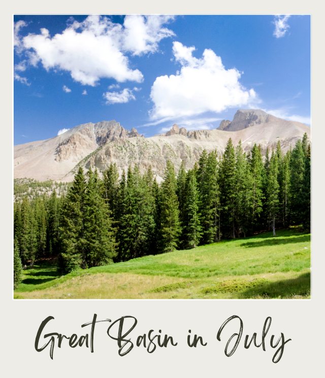 Panoramic Landscape in Great Basin National Park in July