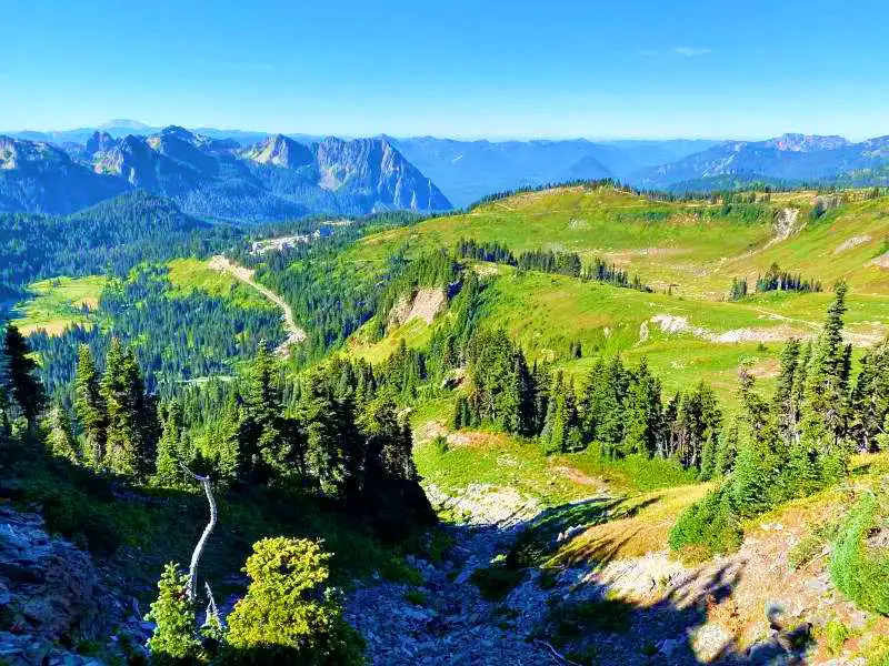 Aerial view of a long road, mountains, and trees in Skyline Trail Mt Rainier National.