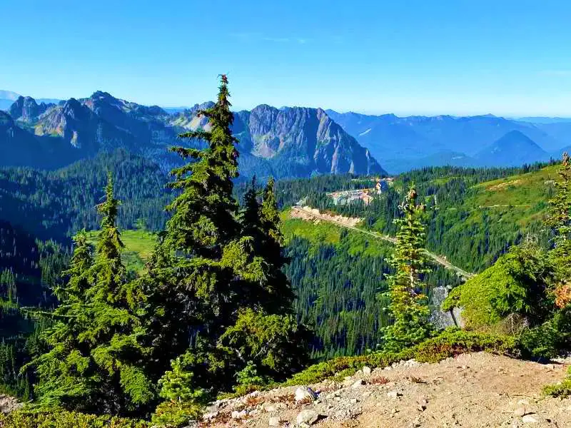 Aerial view of mountains surrounded by trees and a long straight road in Skyline Trail Mt Rainier National.